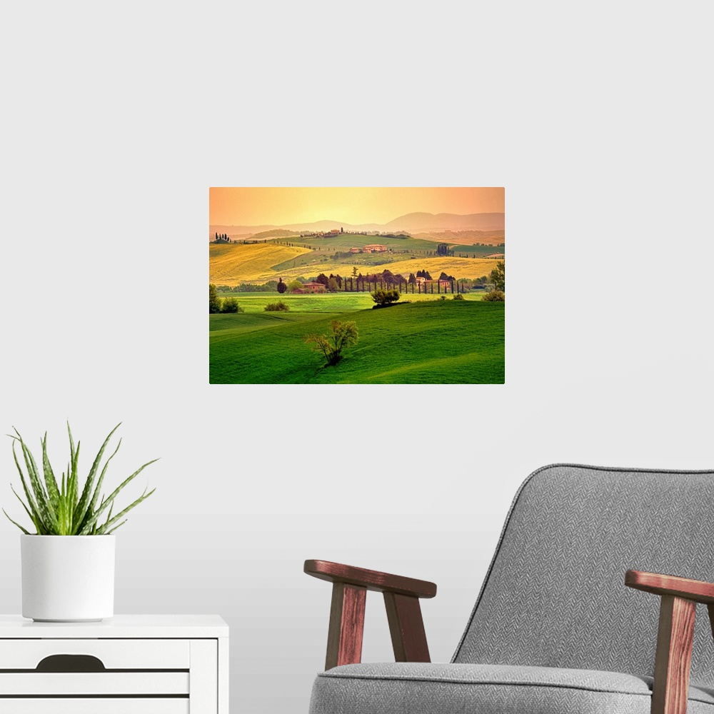 A modern room featuring Photograph of hillsides with mountain silhouettes in the background.  The hills are covered with ...