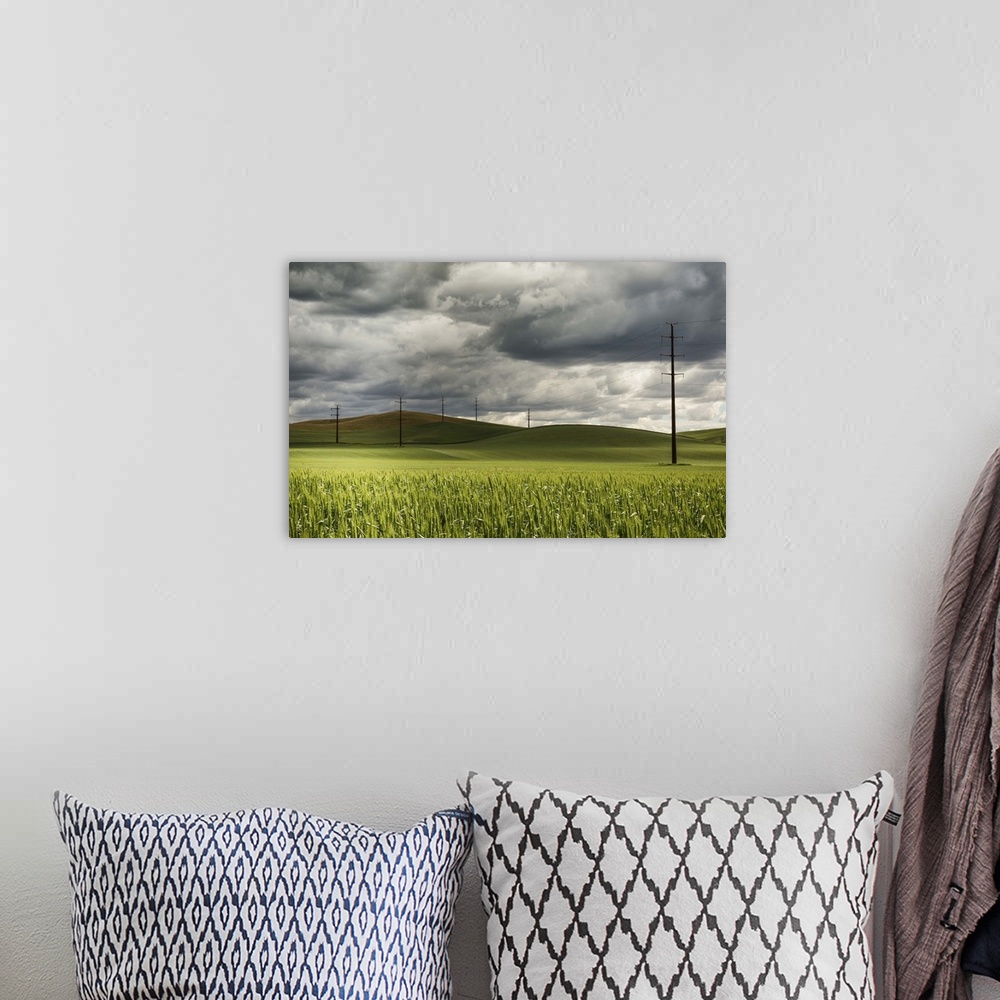 A bohemian room featuring Rolling wheat fields and power lines in the Palouse, Washington