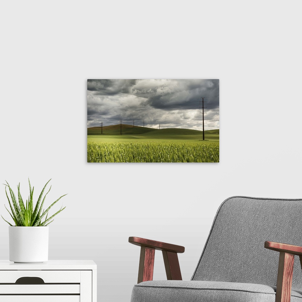 A modern room featuring Rolling wheat fields and power lines in the Palouse, Washington