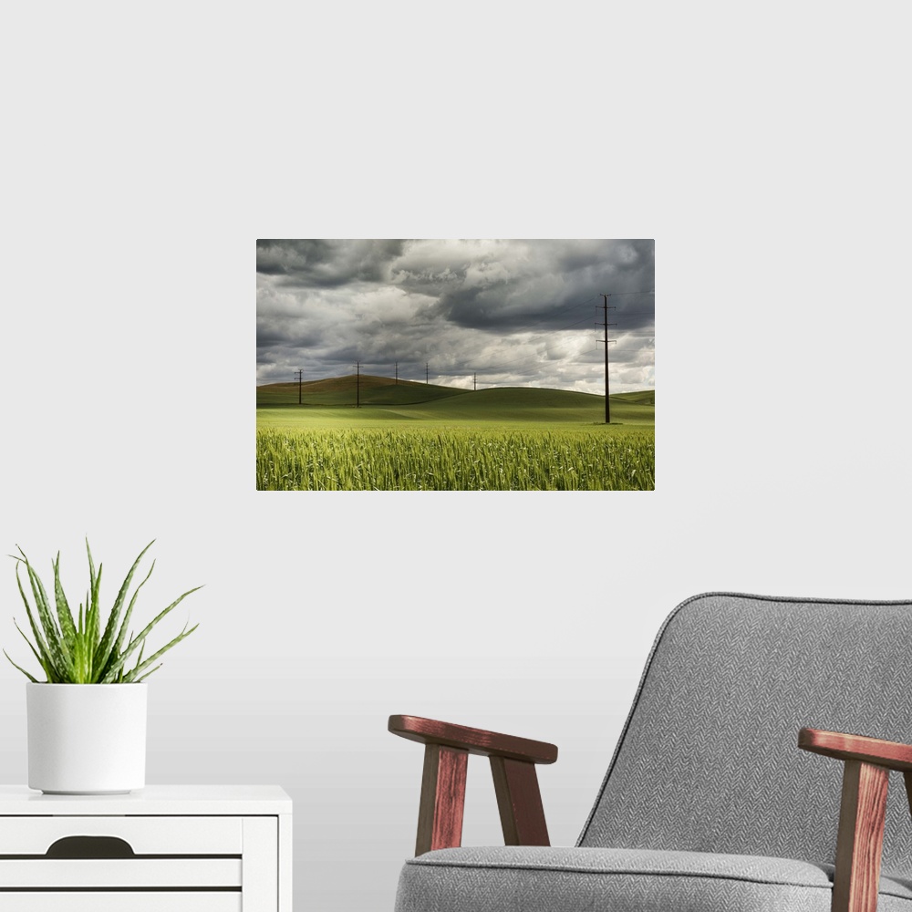 A modern room featuring Rolling wheat fields and power lines in the Palouse, Washington