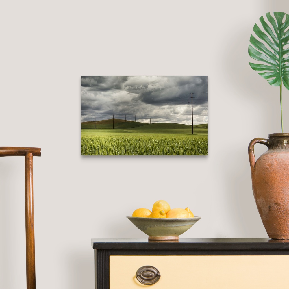 A traditional room featuring Rolling wheat fields and power lines in the Palouse, Washington
