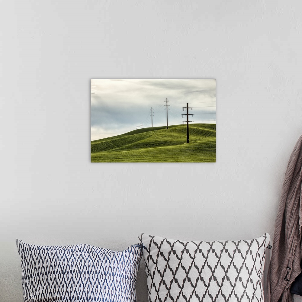 A bohemian room featuring Rolling wheat fields and power lines in the Palouse, Washington