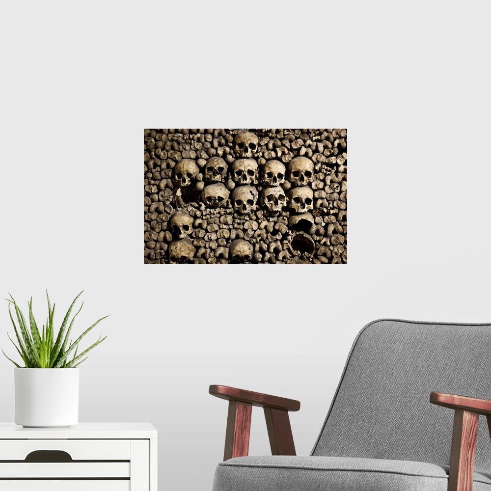 A modern room featuring Skulls in the Catacombs beneath the city of Paris