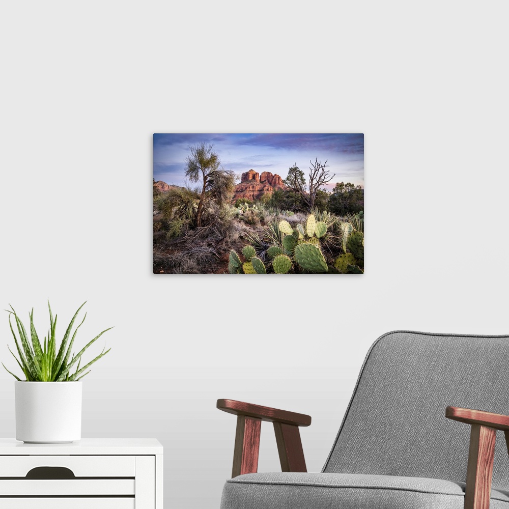 A modern room featuring Sunset over Cathedral Rock in Sedona, Arizona.