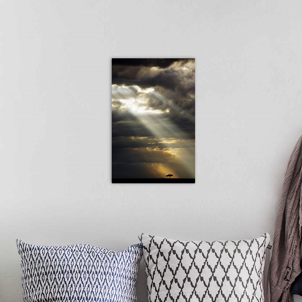 A bohemian room featuring Vertical panoramic photograph of tree silhouette under a dark cloudy sky with sunrays breaking th...