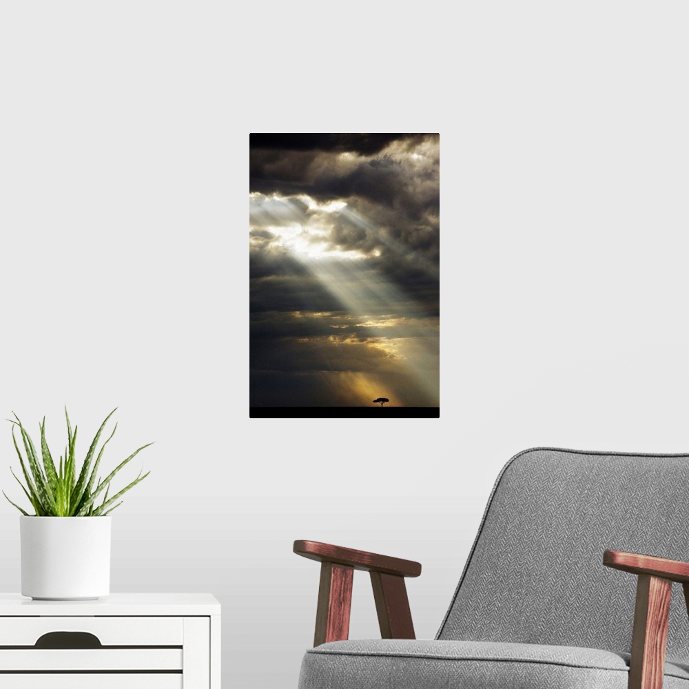 A modern room featuring Vertical panoramic photograph of tree silhouette under a dark cloudy sky with sunrays breaking th...