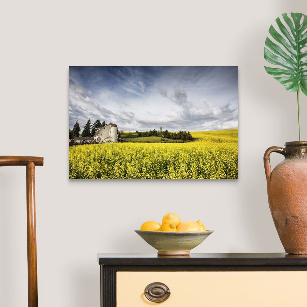 A traditional room featuring The Dahmen Barn and yellow Cannola Fields in the Palouse, Washington