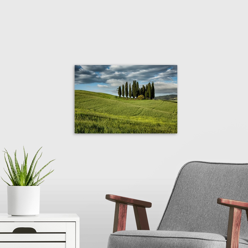 A modern room featuring The trees of Val D'Orcia in Tuscany.