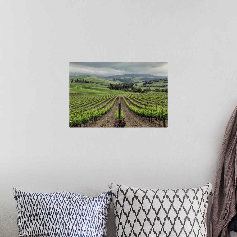 A bohemian room featuring The Vineyards of Tuscany, Italy.