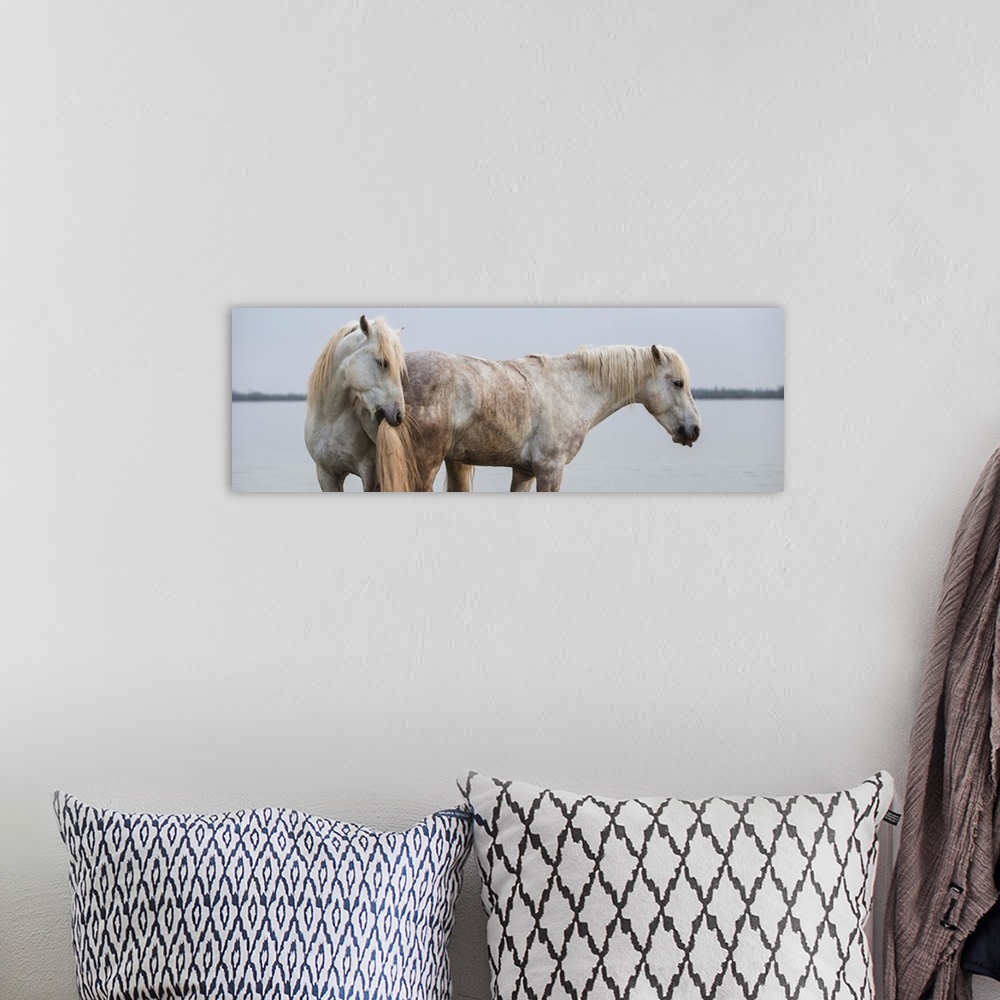 A bohemian room featuring The white horses of the Camargue