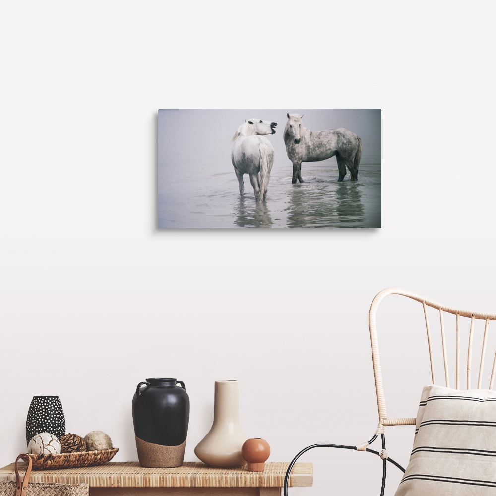 A farmhouse room featuring The White Horses of the Camargue in the water in the South of France