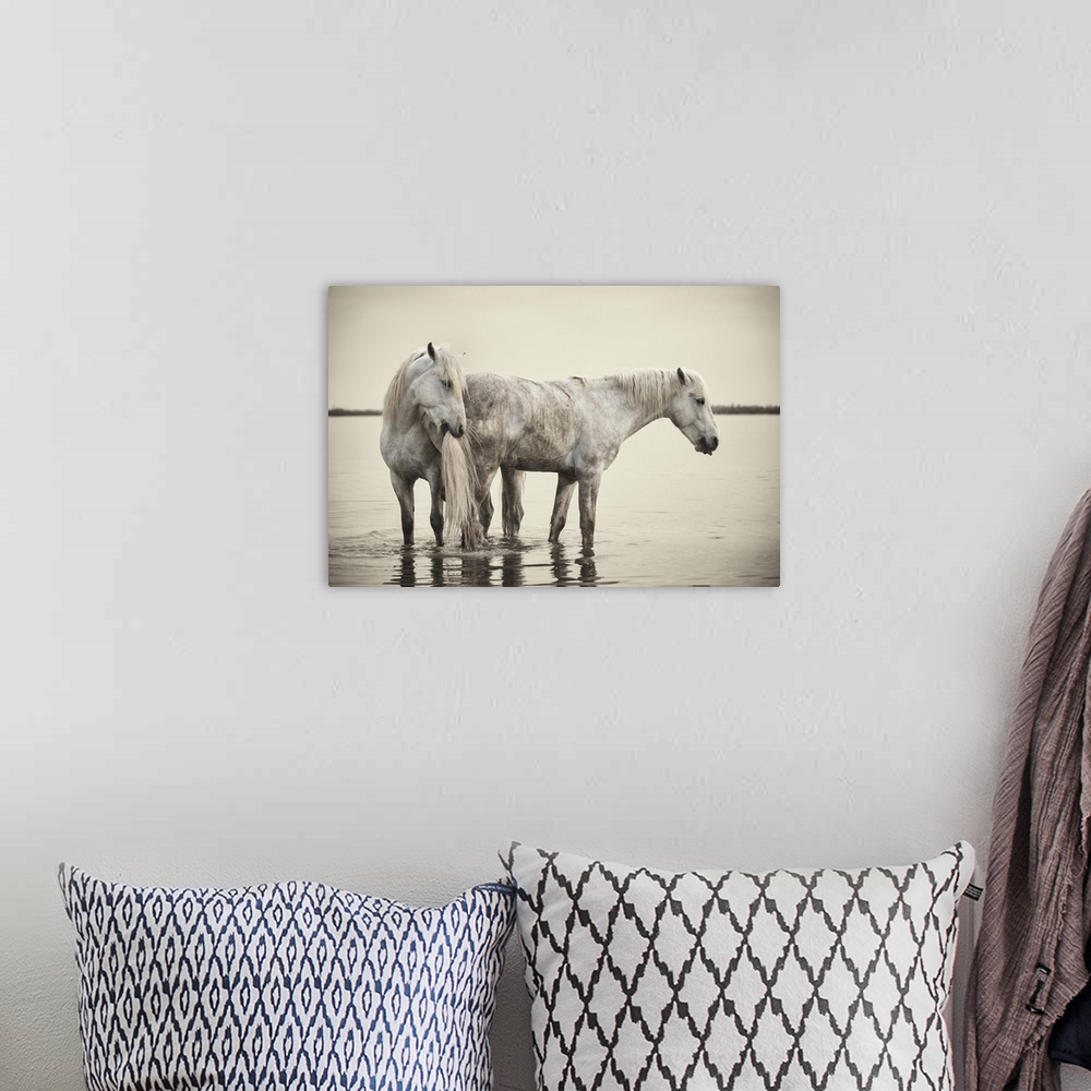 A bohemian room featuring The White Horses of the Camargue in the water in the South of France