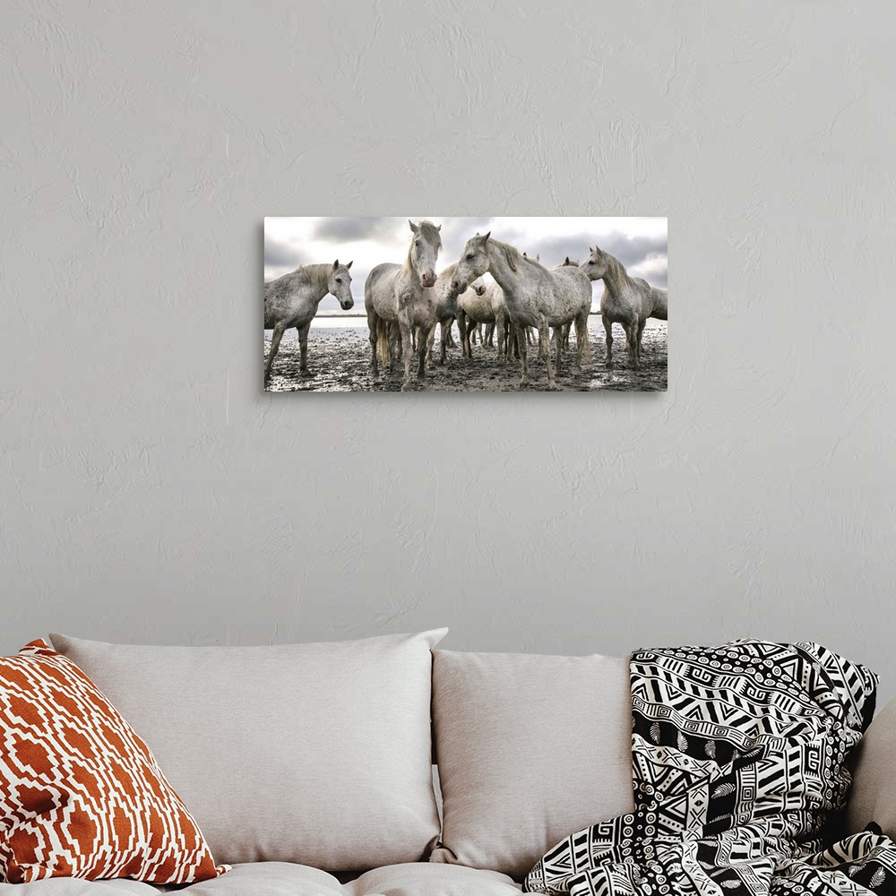A bohemian room featuring The White Horses of the Camargue on the shoreline in the South of France