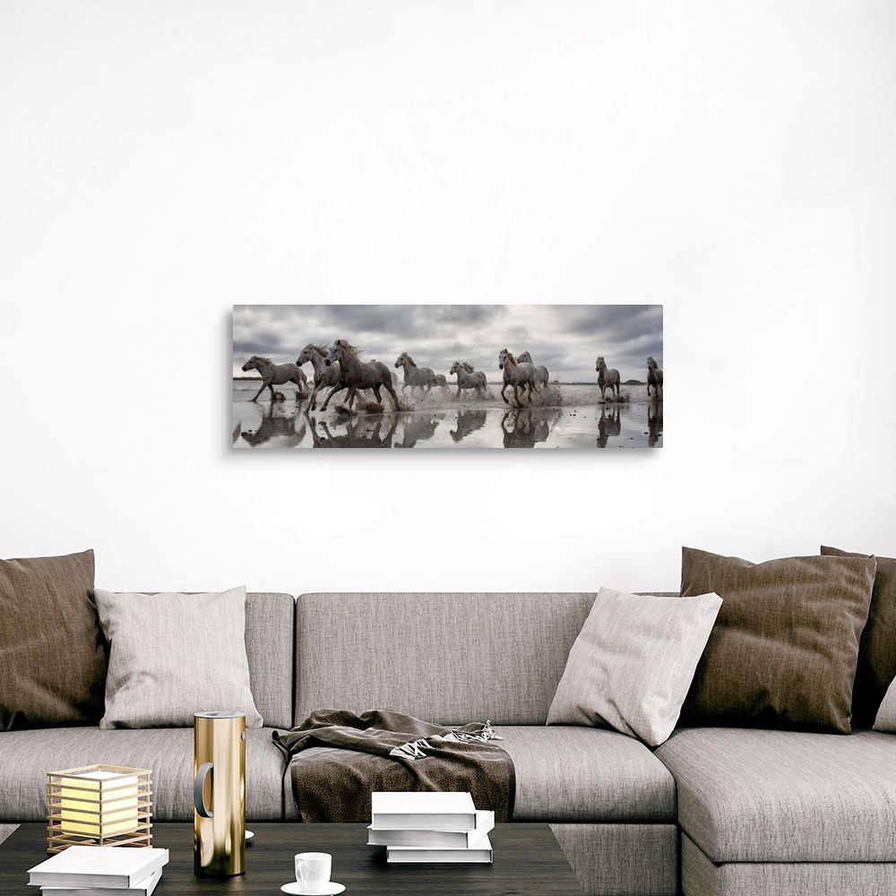 A traditional room featuring The White Horses of the Camargue running in the water in the South of France
