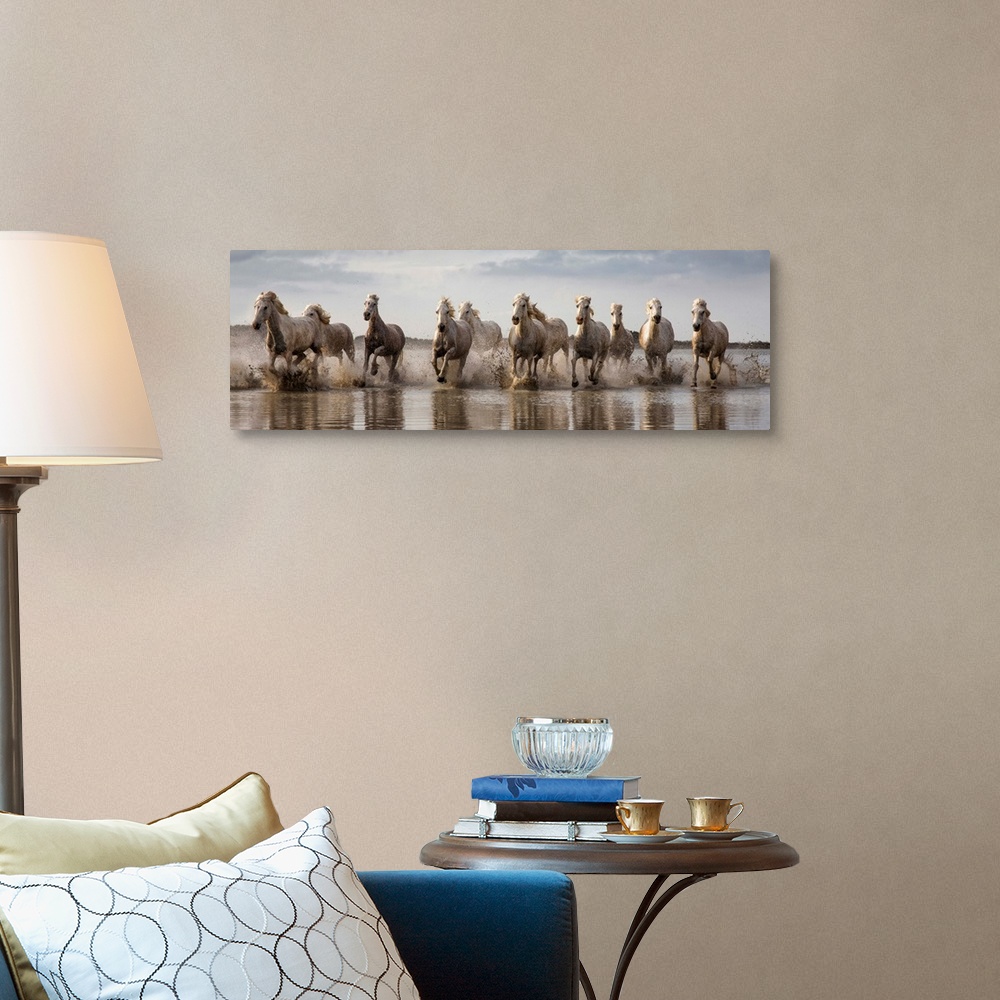 A traditional room featuring The White Horses of the Camargue running in the water in the South of France
