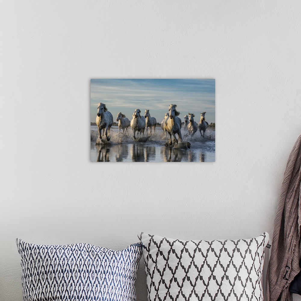 A bohemian room featuring The White Horses of the Camargue running in the water, Southern France.