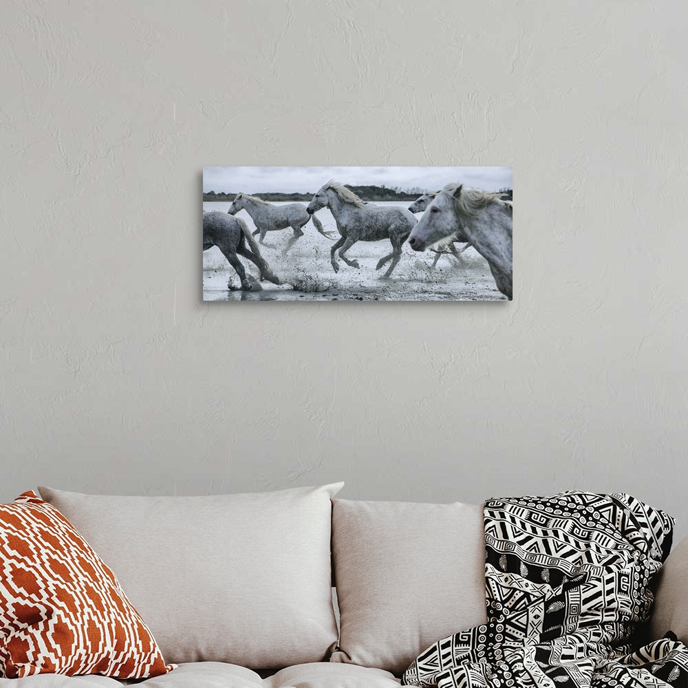 A bohemian room featuring The White Horses of the Camargue running in the water in the South of France.