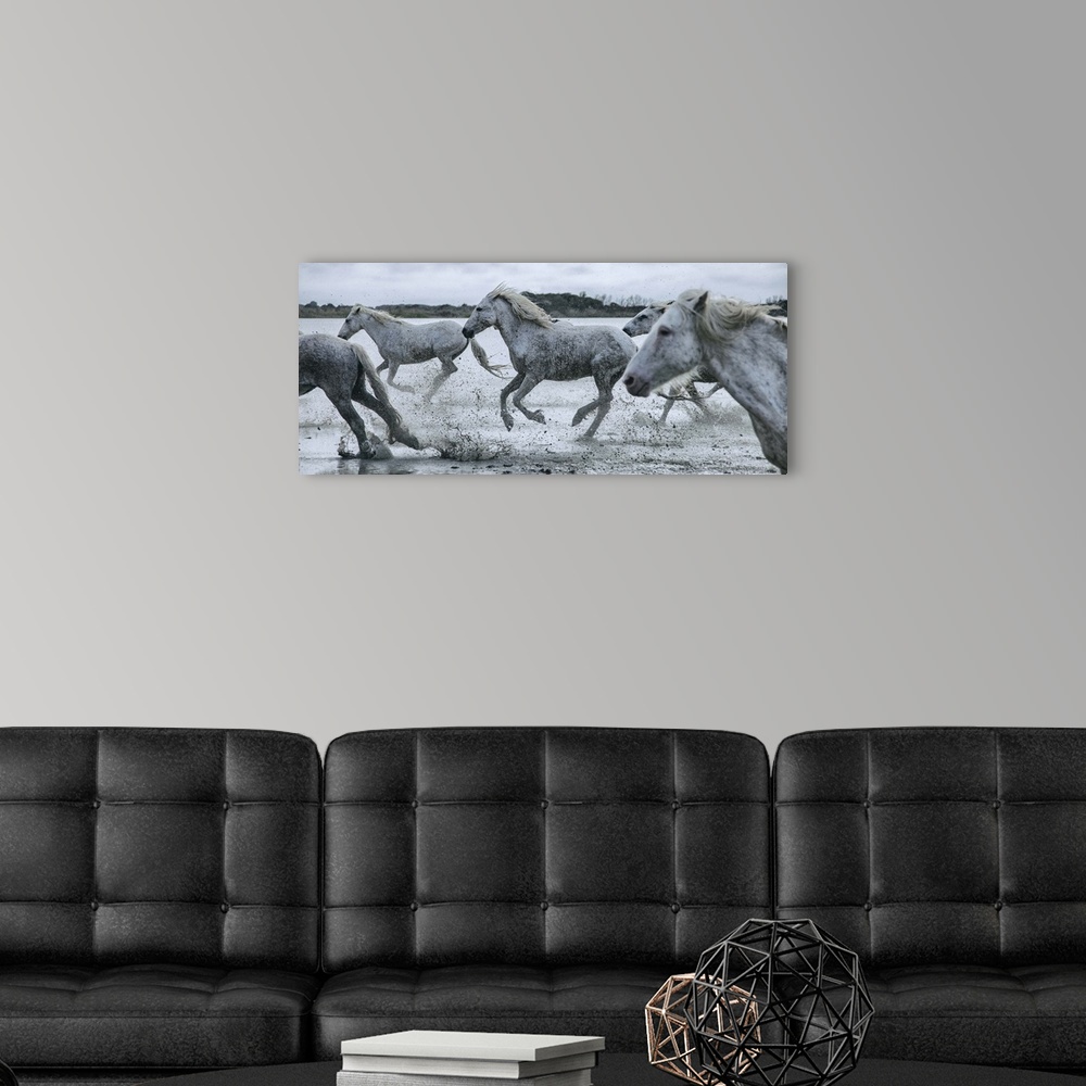 A modern room featuring The White Horses of the Camargue running in the water in the South of France.