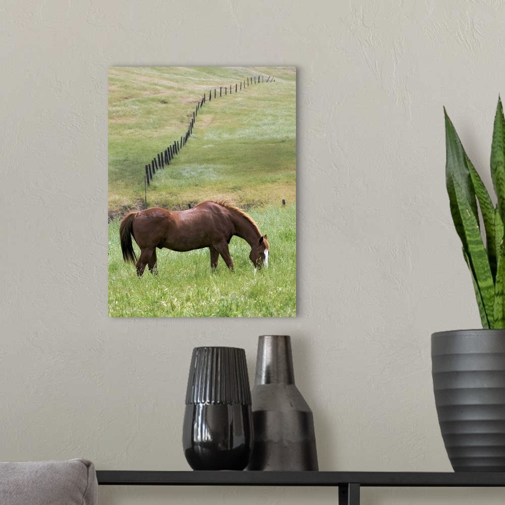 A modern room featuring Western Horse