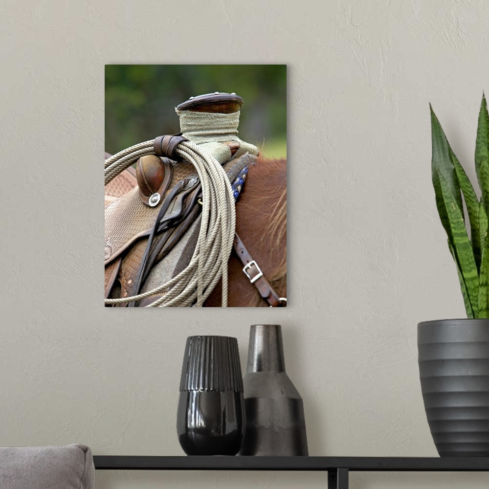 A modern room featuring Wall art of the up close view of a saddle on a horse.