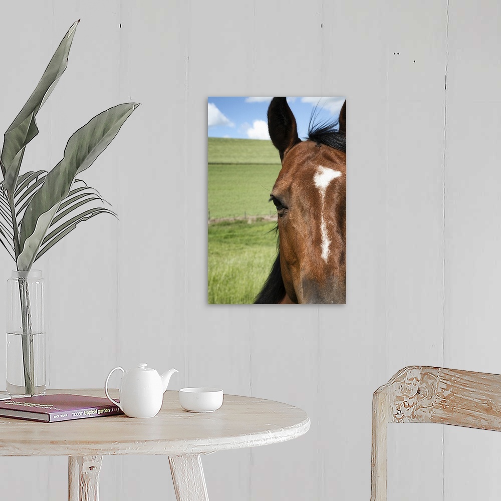 A farmhouse room featuring Western Horse In The Palouse Region Of Washington State