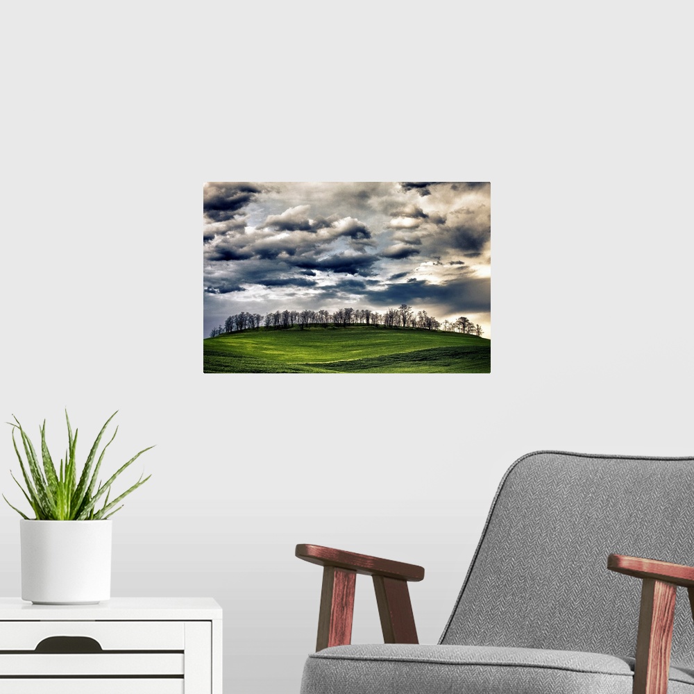 A modern room featuring Wheat fields in the Palouse, Washington