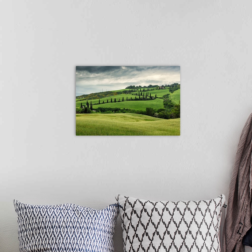 A bohemian room featuring Winding mountain road in the countryside of Tuscany.