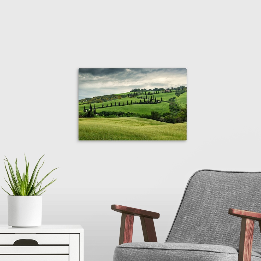 A modern room featuring Winding mountain road in the countryside of Tuscany.