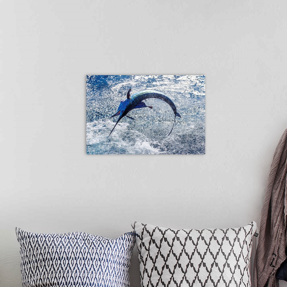 A bohemian room featuring A sailfish does its best to break free