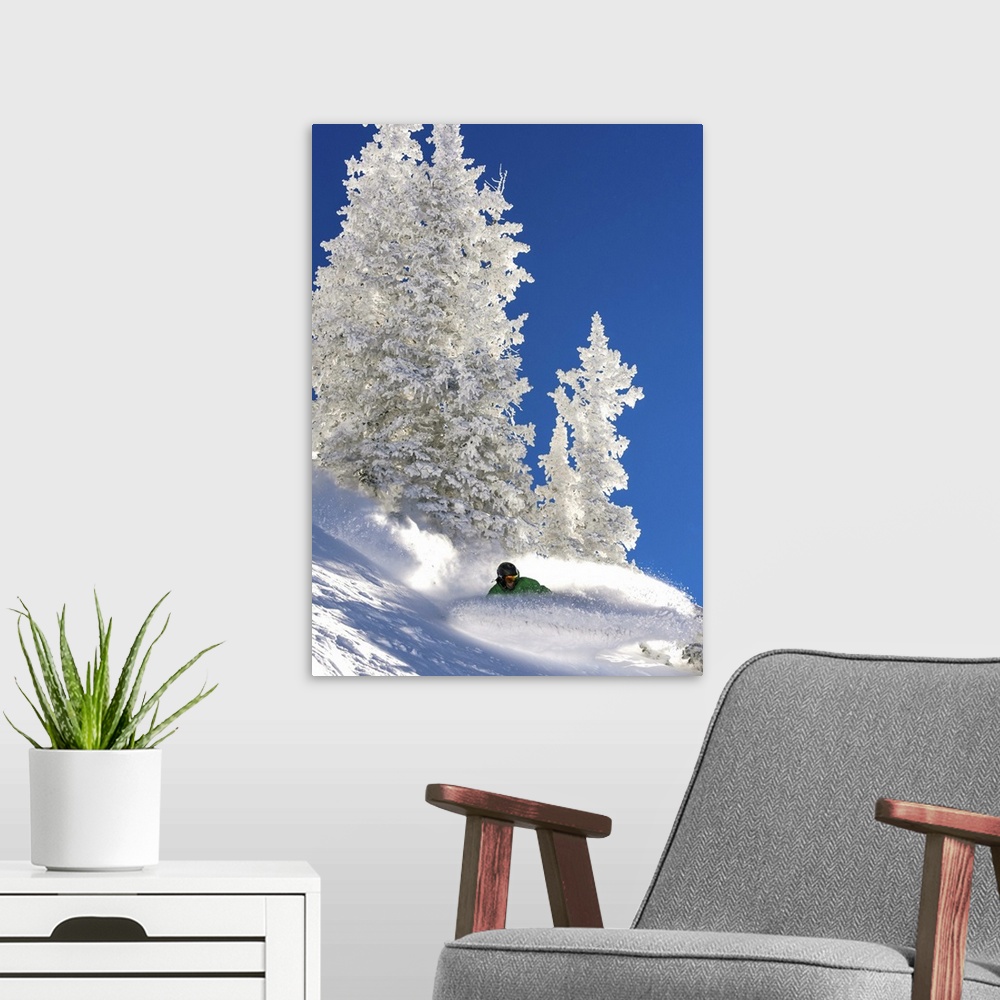 A modern room featuring Action shot of a snowboarding carving down the Wasatch Range in Utah.