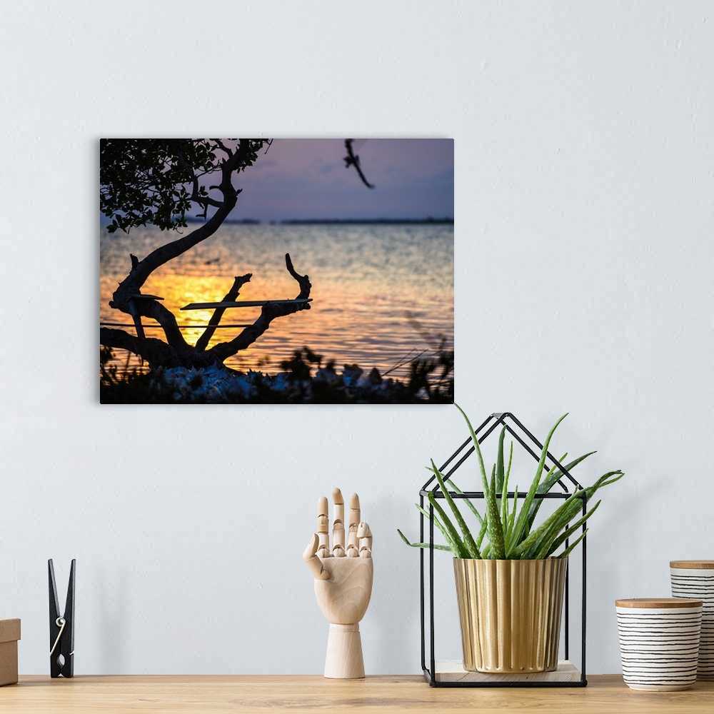 A bohemian room featuring Driftwood silhouetted on the beach at sunset in Belize, 2016.