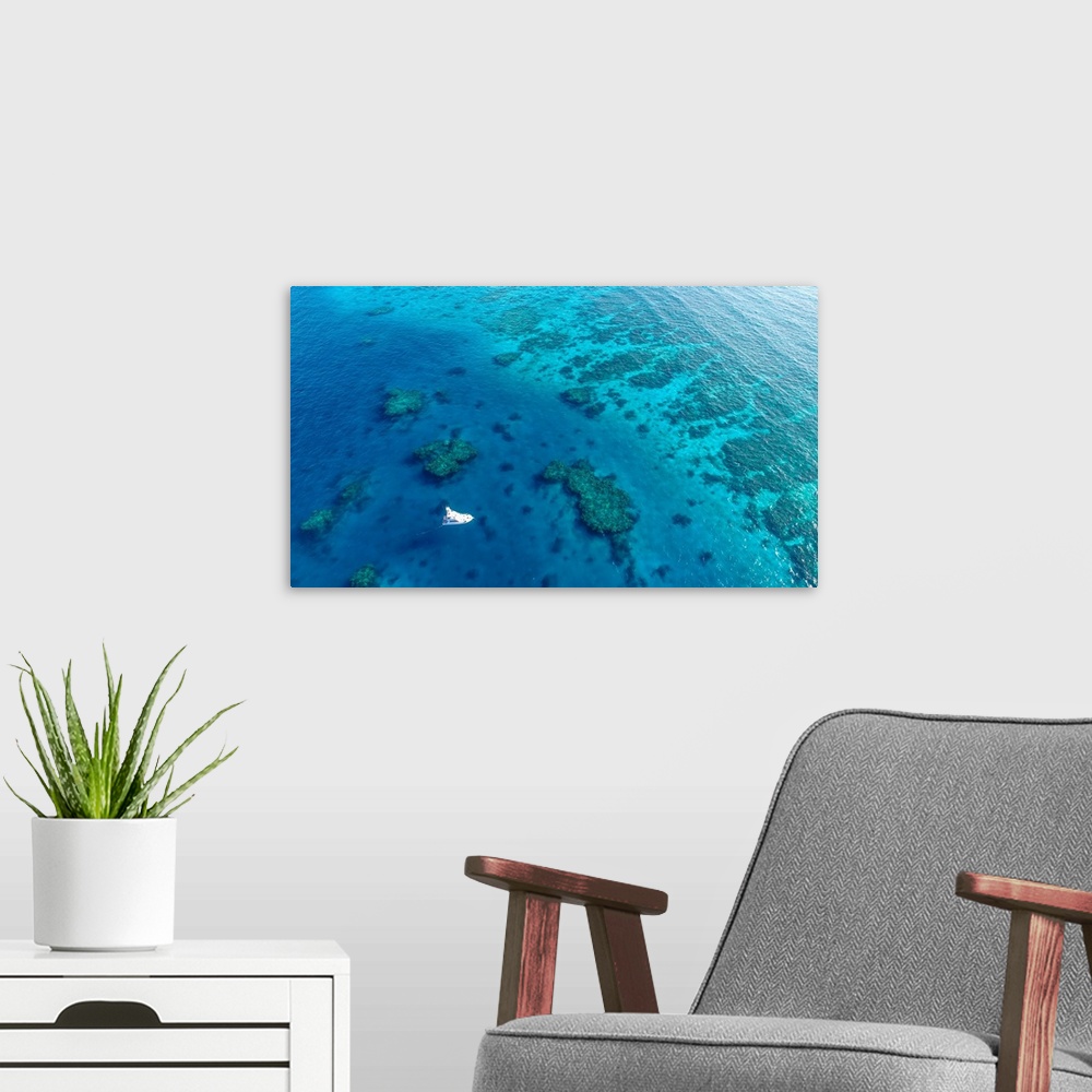 A modern room featuring On the great barrier reef Australia