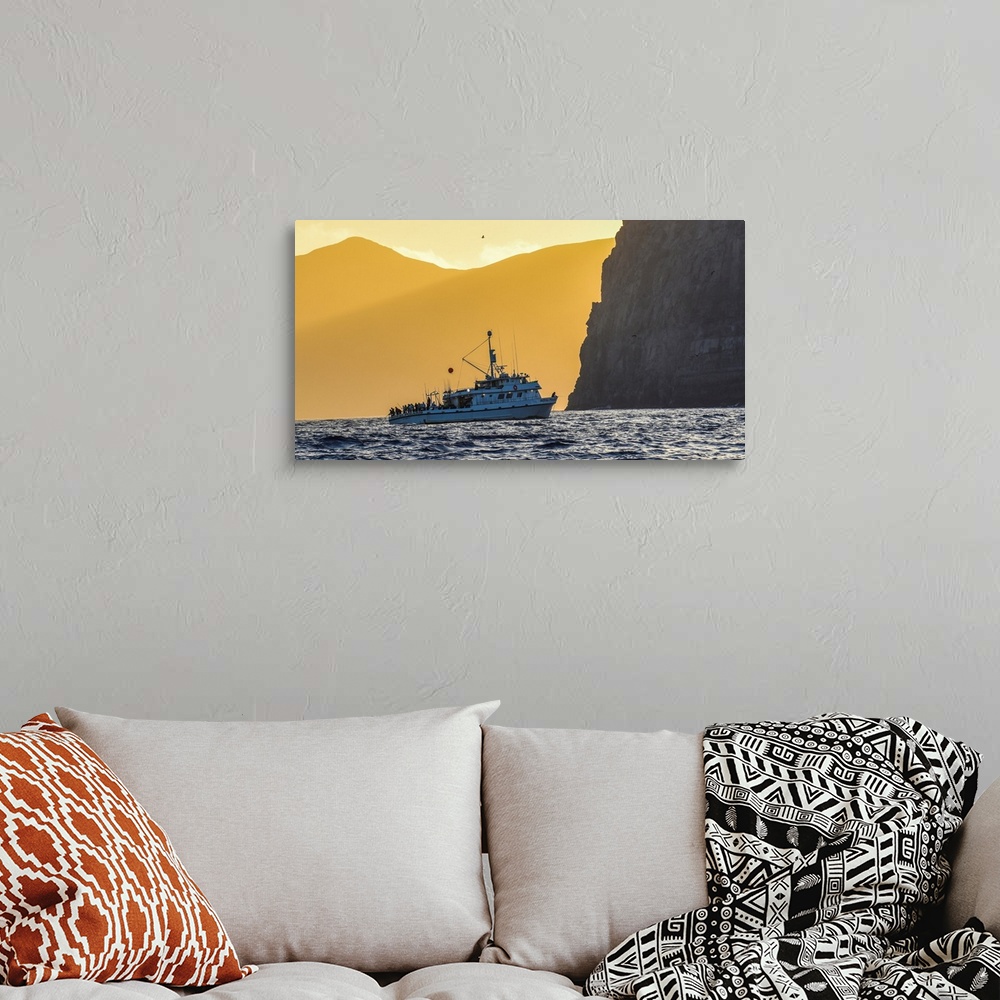 A bohemian room featuring Guadalupe Island, Mexico. The Royal Polaris fishes in tight at sunset near Guadalupe island, Mexico.