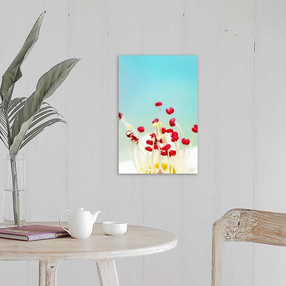 A farmhouse room featuring Stamen on a tiny flower