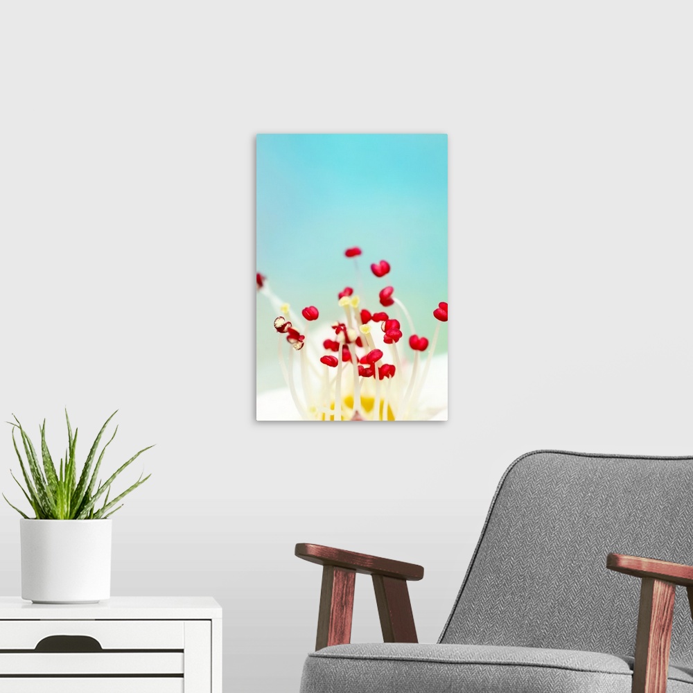 A modern room featuring Stamen on a tiny flower