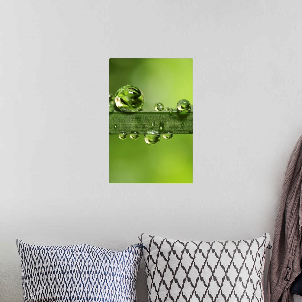 A bohemian room featuring Rain drops on a blade of grass.