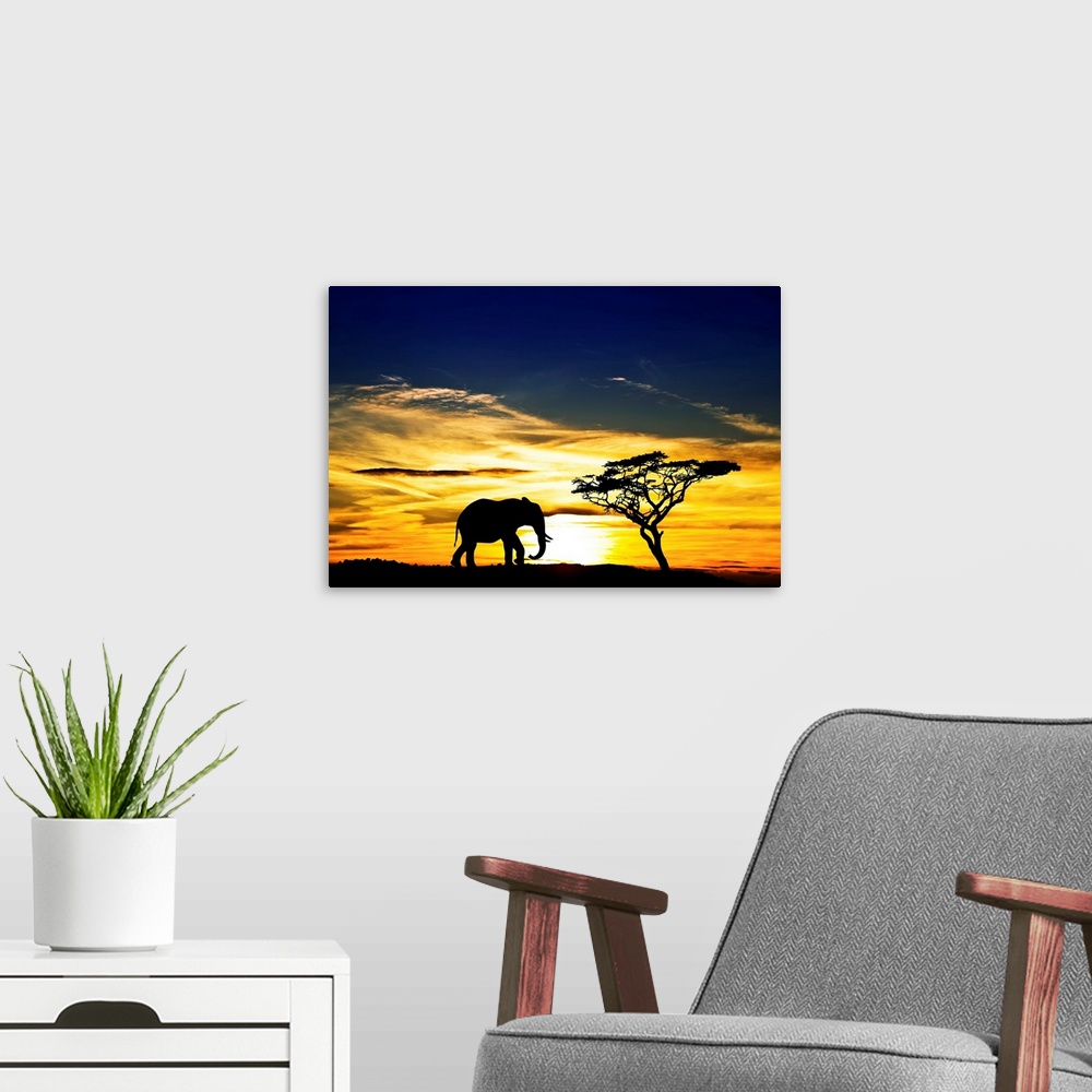 A modern room featuring Setting sun casts a silhouette from a lone elephant and tree in Africa.