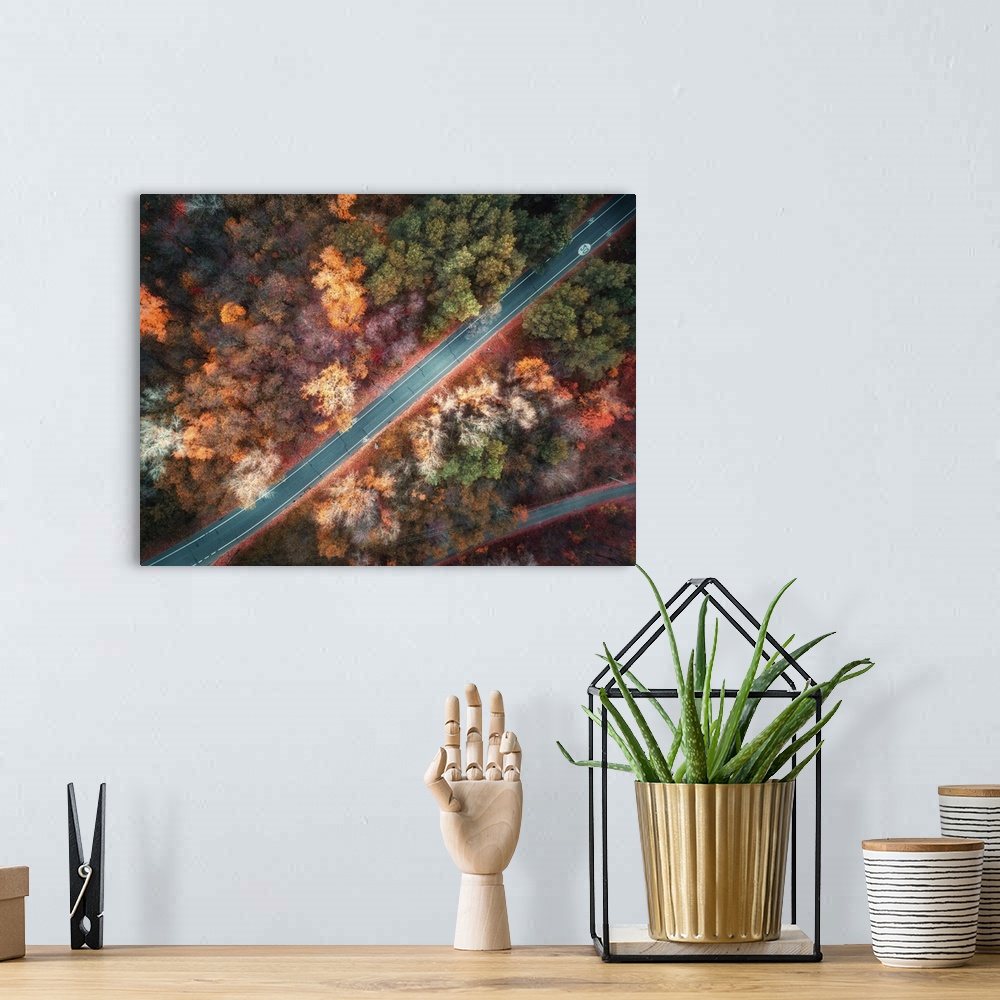 A bohemian room featuring Aerial View Of Road In Beautiful Autumn Forest At Sunset