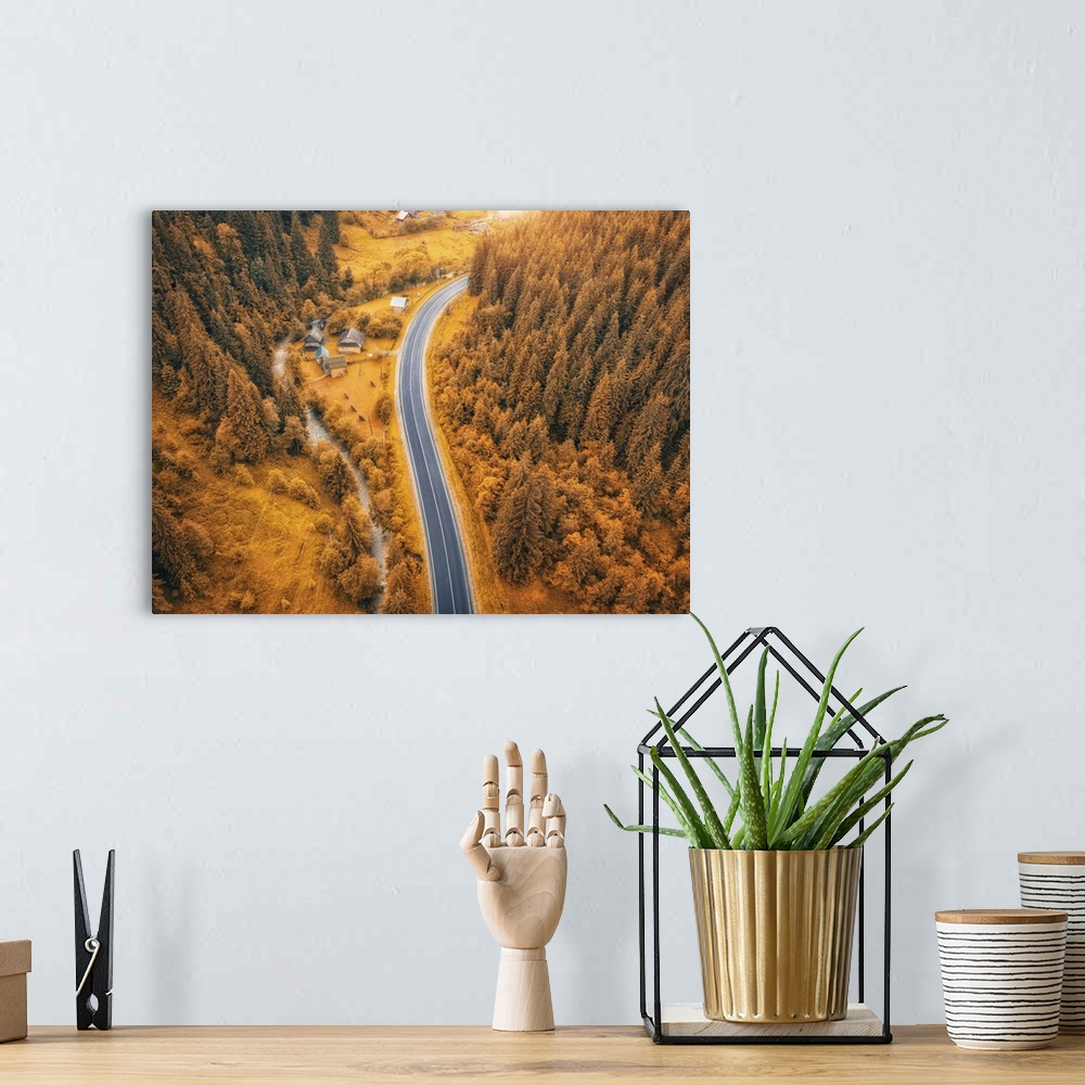 A bohemian room featuring Aerial View Of Road In Beautiful Orange Forest At Sunset In Autumn, Carpathian Mountains