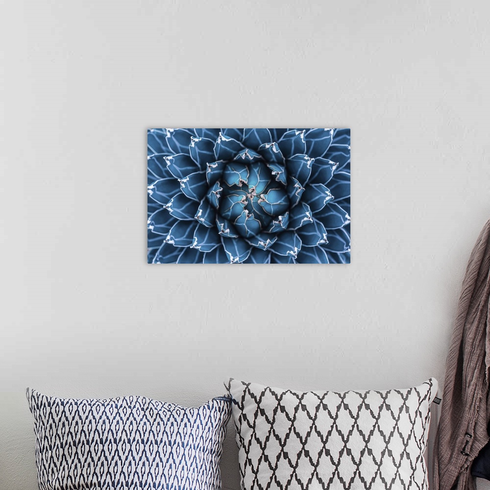 A bohemian room featuring Agave cactus, abstract natural pattern background, dark blue toned.