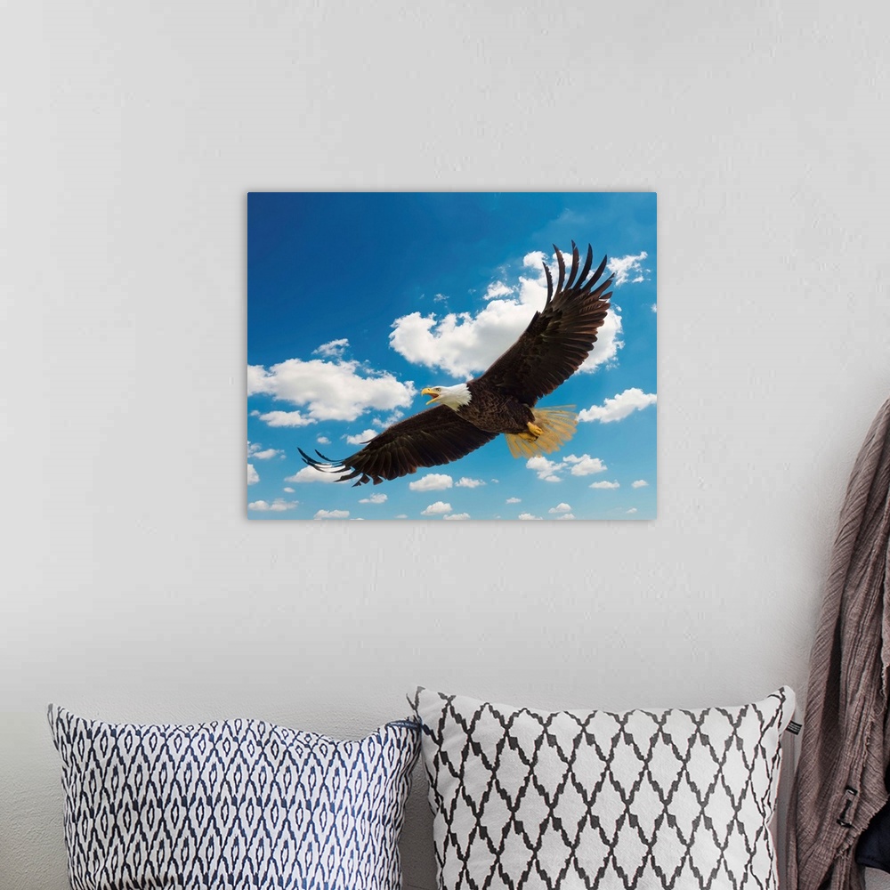 A bohemian room featuring American Bald Eagle In Flight.