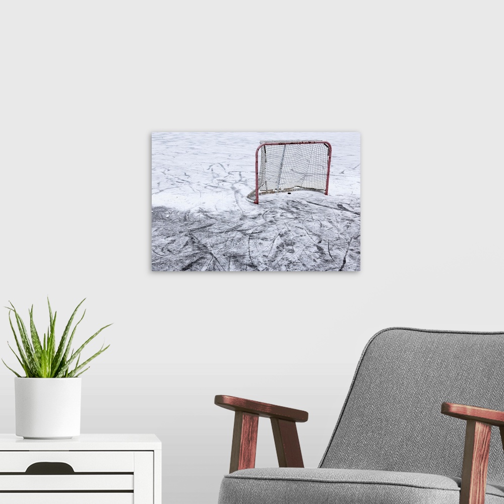 A modern room featuring An ice hockey net on an outdoor pond rink.