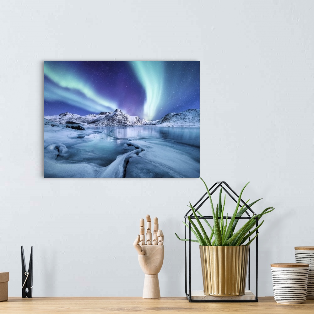 A bohemian room featuring Aurora Borealis, Lofoten Islands, Norway