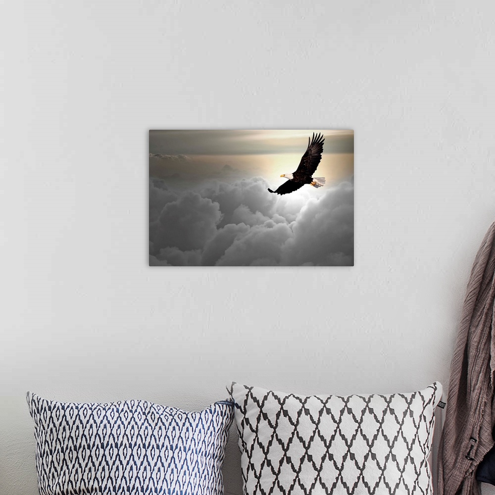 A bohemian room featuring Bald eagle flying above the clouds