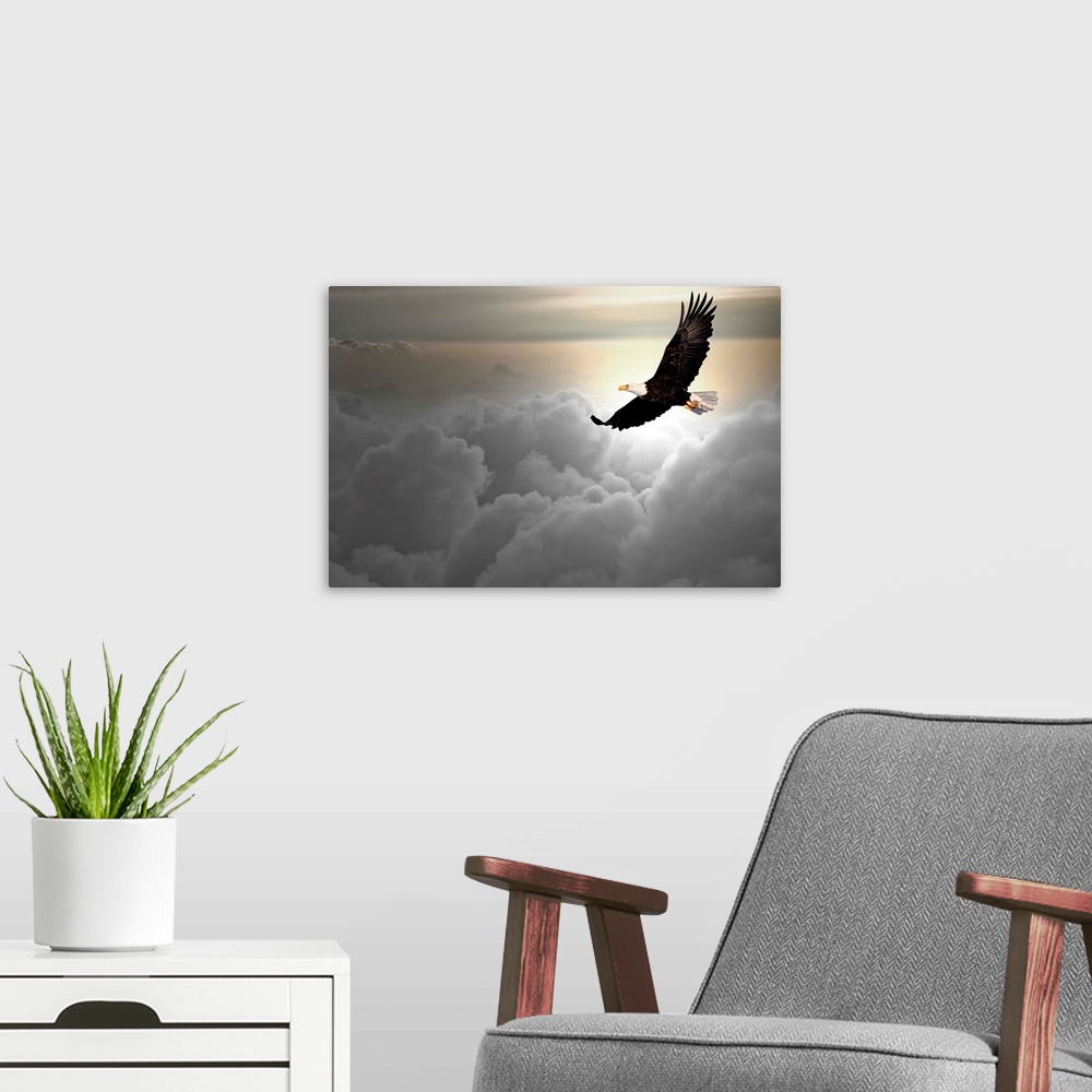 A modern room featuring Bald eagle flying above the clouds