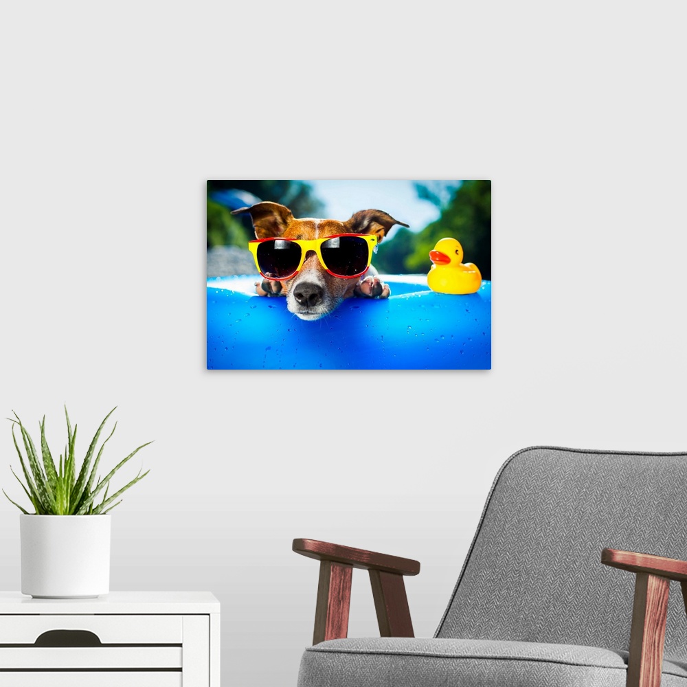 A modern room featuring Beach Dog