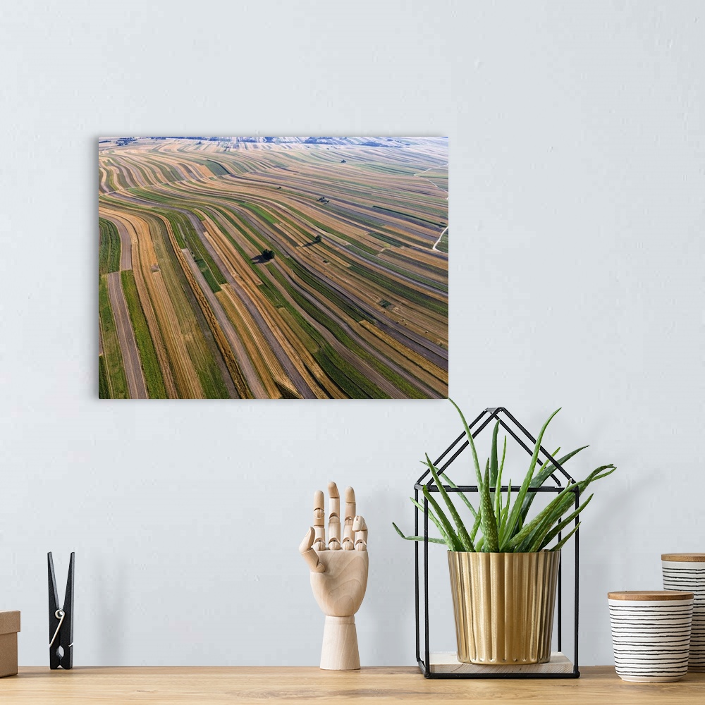 A bohemian room featuring Beautiful Crop Rows In Farmland