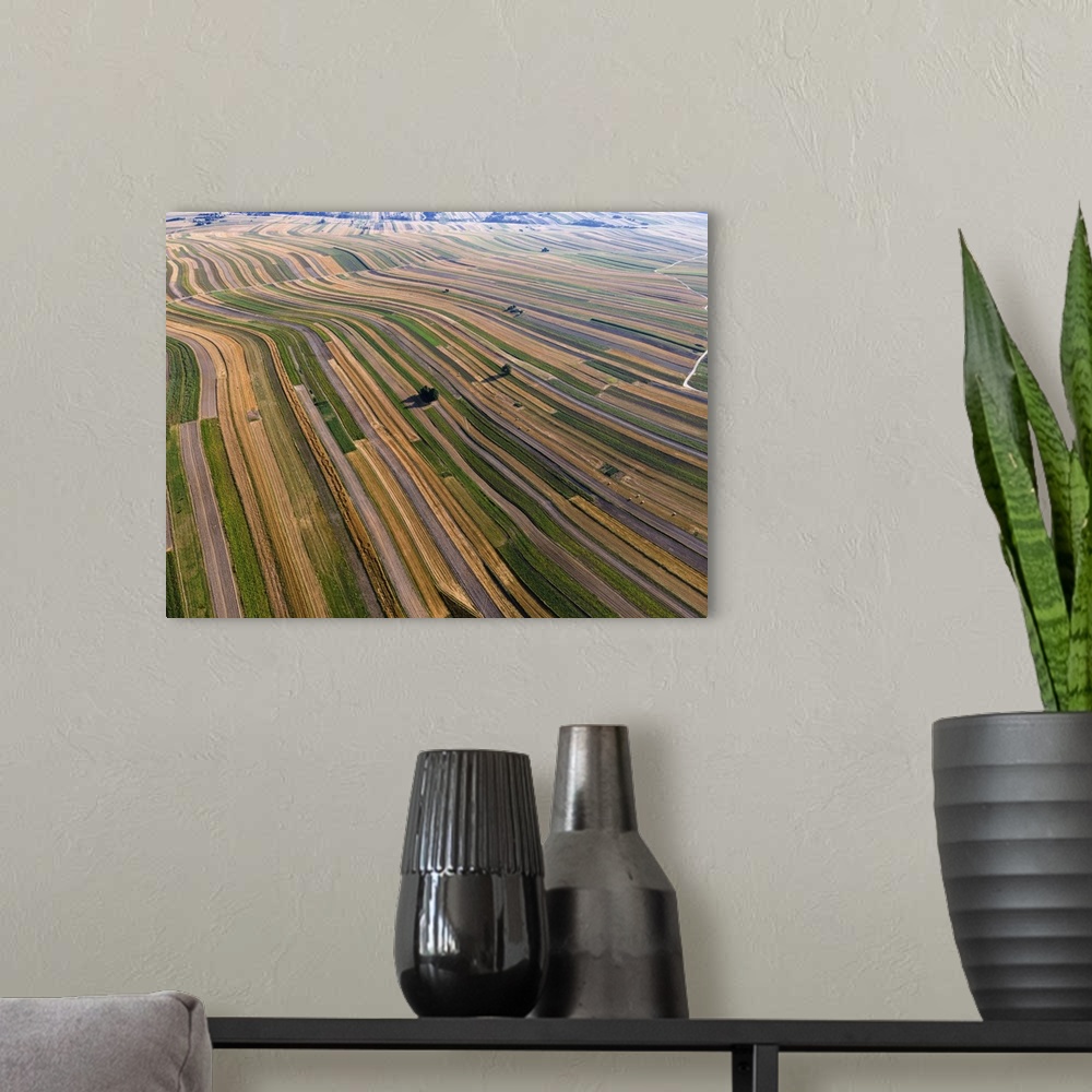 A modern room featuring Beautiful Crop Rows In Farmland