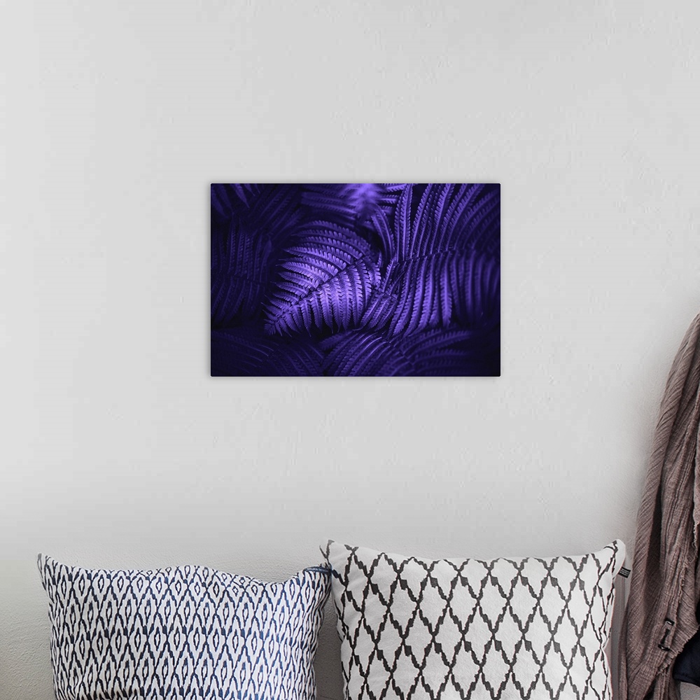 A bohemian room featuring Beautiful Fern Leaves In Ultraviolet