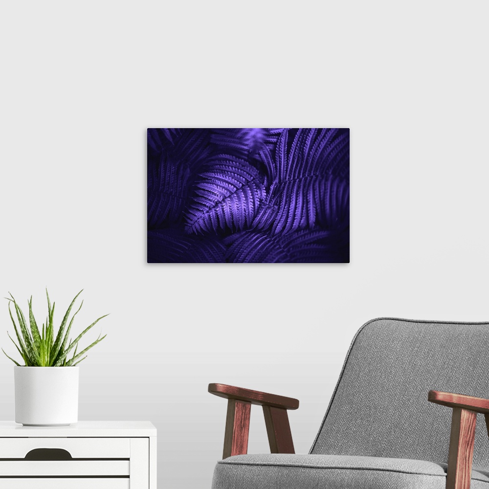 A modern room featuring Beautiful Fern Leaves In Ultraviolet
